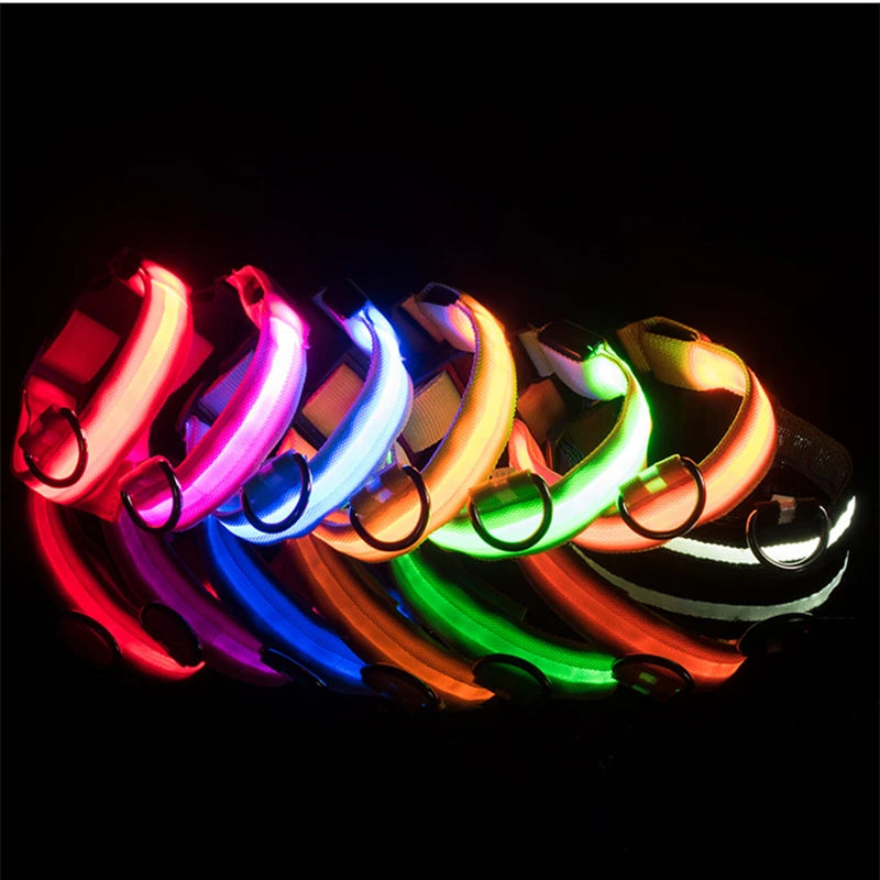 Glowing Dog Collar