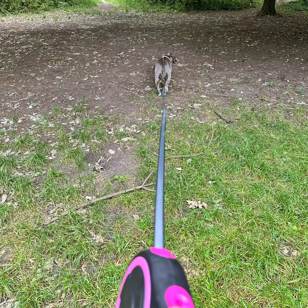 Large Dog Leash