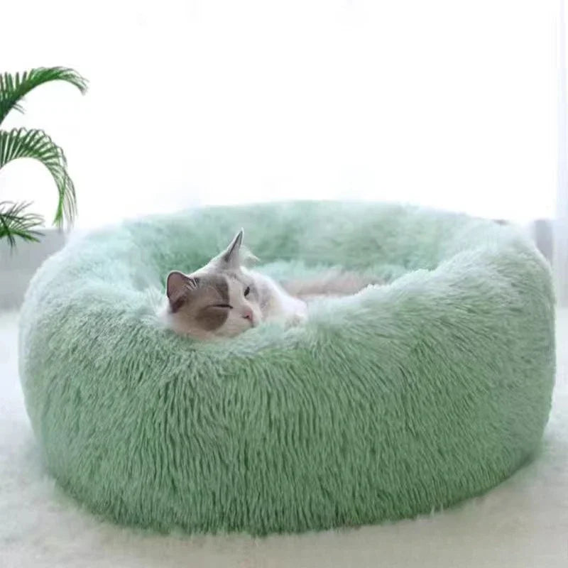 Plush Dog Bed & Cat