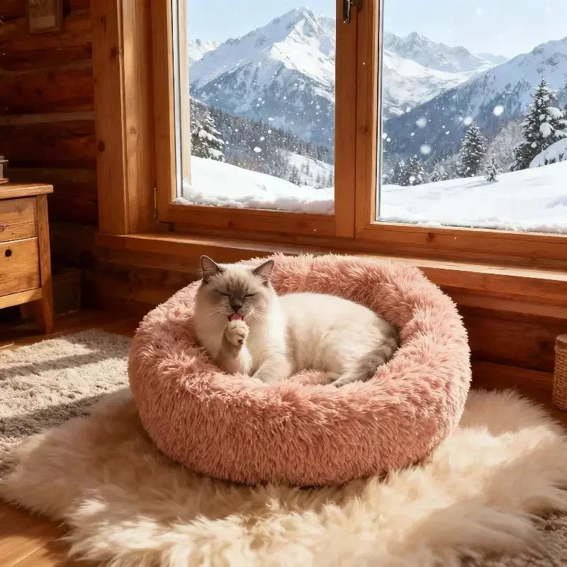 Plush Dog Bed & Cat