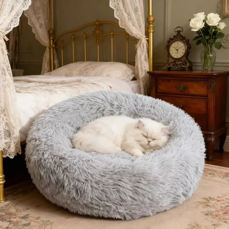 Plush Dog Bed & Cat