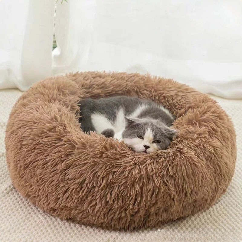 Plush Dog Bed & Cat